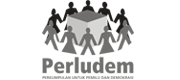 Logo Perludem
